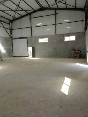 hangar-location-alger-cheraga-algerie