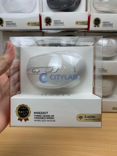 Souris sans Fil HAVIT MS622GT (WHITE/GRAY)