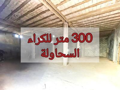 Location Local Alger Saoula