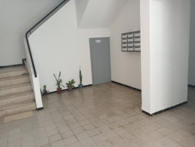 كراء شقة 3 غرف الجزائر حيدرة