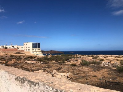 Vente Terrain Oran Ain el turck