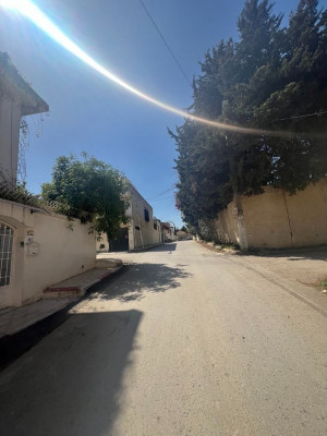 villa-location-alger-cheraga-algerie