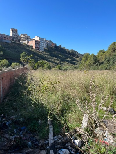 Vente Terrain Alger Saoula