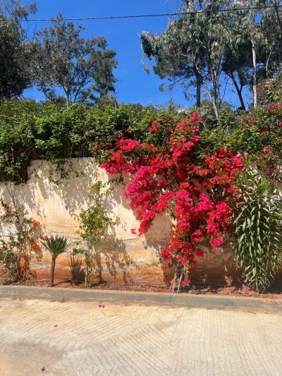 بيع فيلا الجزائر شراقة