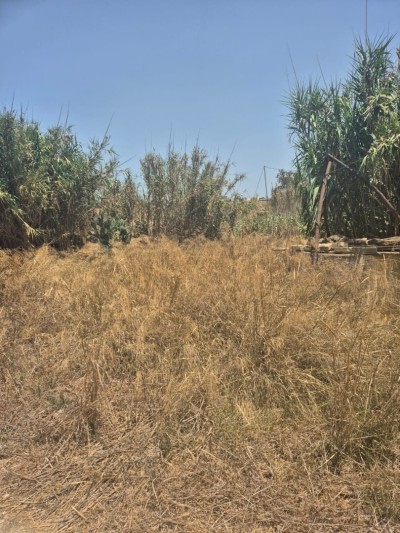 بيع أرض الجزائر الرحمانية