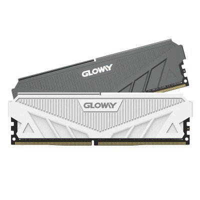  RAM Gloway DDR4 16gbx2 Go 3200MHz U-DIMM gris/blanc