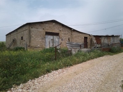 Location Terrain Agricole Skikda Azzaba