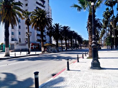 Vente Terrain Skikda Skikda