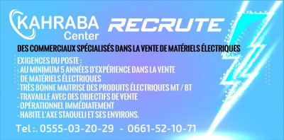 commercial-marketing-recrutement-des-commerciaux-specialises-dans-la-vente-de-materiels-electriques-staoueli-alger-algerie