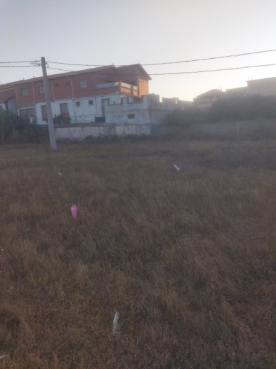 Vente Terrain Alger Hraoua