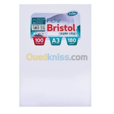 RAME DE PAPIER BRISTOL A3 180G/100F