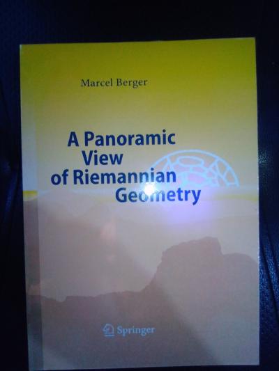 A Panoramic View of Riemannian Geometry 