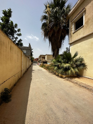 Location Hangar Alger Ouled chebel