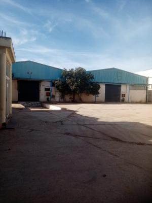 usine-vente-oran-algerie