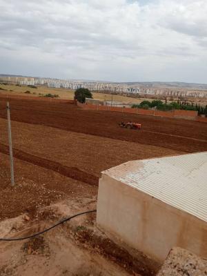 farmland-sell-oran-algeria