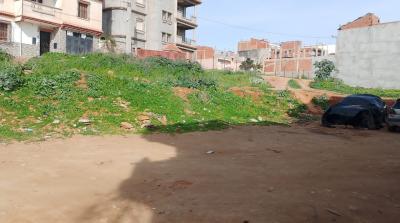 بيع أرض الجزائر بئر توتة