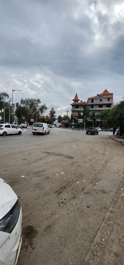 Sell Land Alger Les eucalyptus