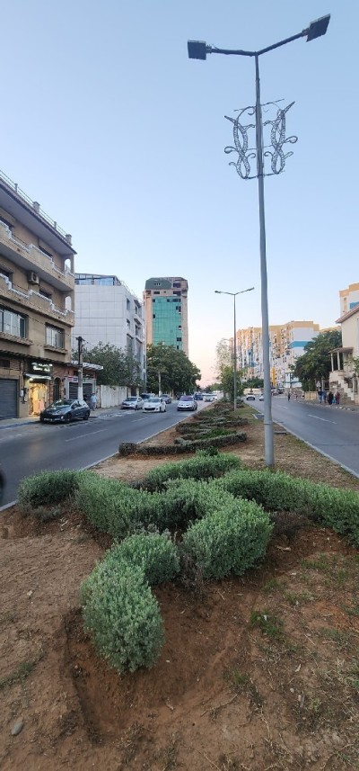 Rent Apartment Alger El achour