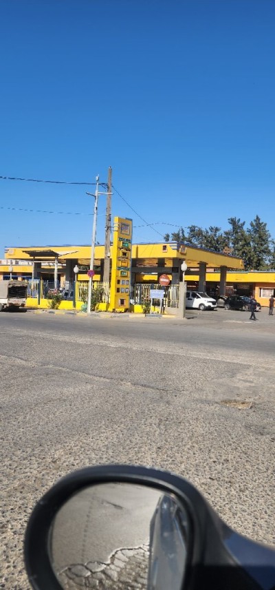 Sell Land Alger Douera