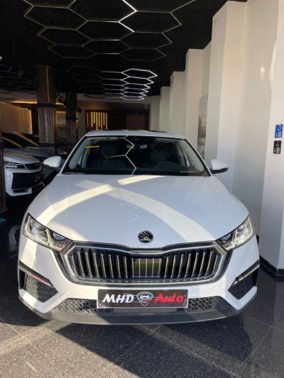 Skoda OCTVIA 2025 PRO