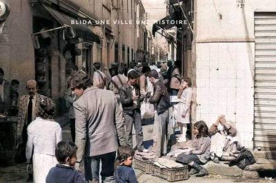 Location Local Blida Blida