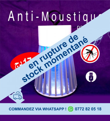 Lampe Anti Moustique portatif rechargeable صاعقةالبعوض