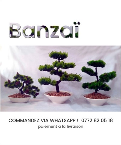 Bonsaï/Style japonais/Plante artificielle/Déco Moderne/Petit/Moyen/Grand/Table/Banzaï//شجرة البونساي