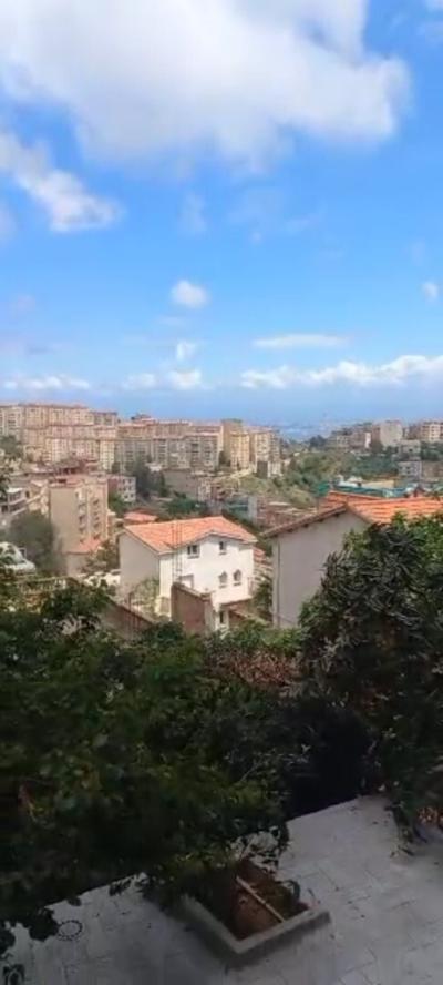 بيع أرض الجزائر شوفالي