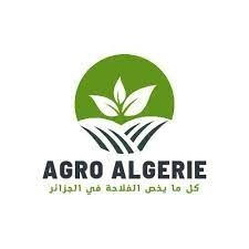commercial-marketing-sur-le-terrain-draria-alger-algerie