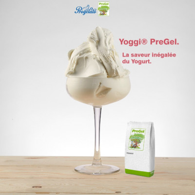 YOGGI PreGel - Yaourt-Glacé- Petit-Suisse  