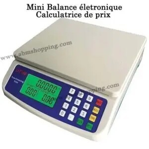 Mini Balance électronique et calculatrice de prix