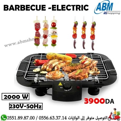 BARBECUE- ELECTRIQUE 2000 w 230 v-50hz