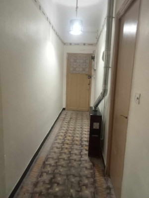 شقة-بيع-2-غرف-وهران-الجزائر