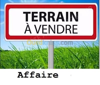 Vente Terrain Oran Oran