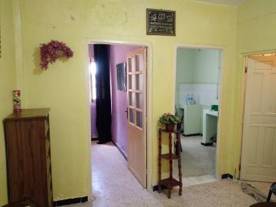 appartement-vente-f1-blida-ouled-el-alleug-algerie