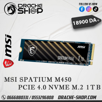 SSD MSI SPATIUM M450 PCIe 4.0 NVMe M.2 1TB