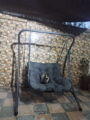 meubles-dexterieur-balancoire-terrasse-annaba-algerie