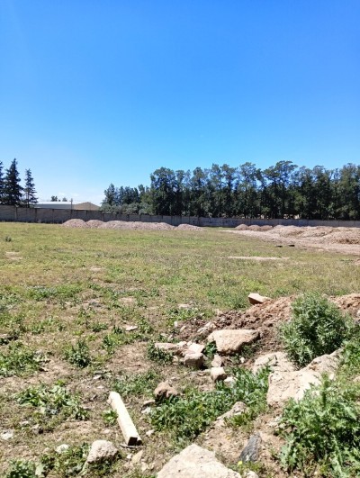 كراء أرض بومرداس حمادي