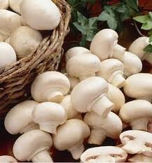 fruits-legumes-champignons-de-paris-ain-el-turck-oran-algerie