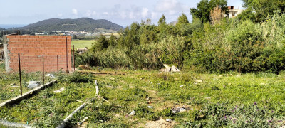 terrain-echange-tipaza-cherchell-algerie