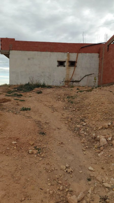 terrain-agricole-vente-sidi-bel-abbes-algerie