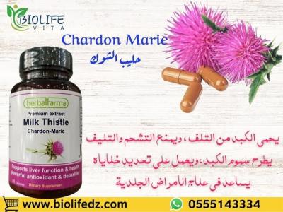 Chardon Marie شوك الجمل مطهر الكبد 