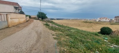 بيع أرض الجزائر أولاد فايت