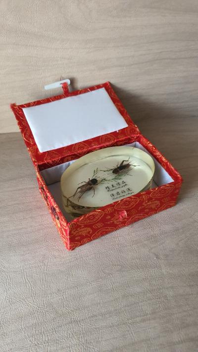 Vintage presse papier chinois porte-bonheur en résine incrustés de 2 criquets 