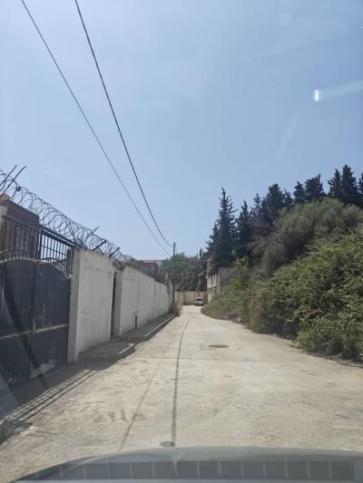 Vente Terrain Alger El achour