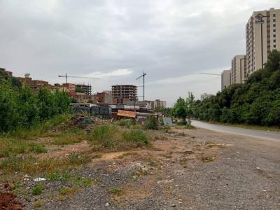 Vente Terrain Tipaza Kolea