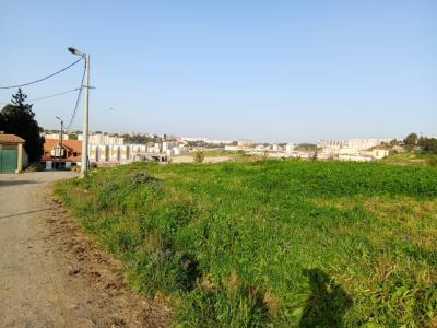 Vente Terrain Alger Souidania