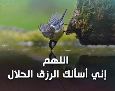 multi-task-employee-عامل-يومي-kouba-alger-algeria