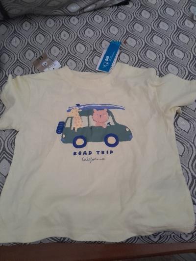 ملابس-thee-shirt-سيق-معسكر-الجزائر