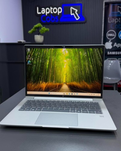 HP ELITEBOOK 845 G11 RYZEN 7 7335U 2.70 Ghz 16Gb DDR5 256Gb Nvme AMD RADEON TM GRAPHICS 14 FHD WUXGA